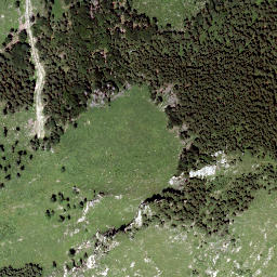Satellite imagery of Büchleralpe, AT