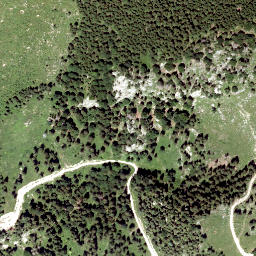 Satellite imagery of Büchleralpe, AT