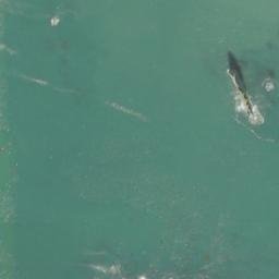 Satellite imagery of Toleak Point, US