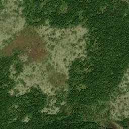 Satellite imagery of Terrences Drook Hill, CA