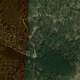 Satellite imagery of survey_point, AT