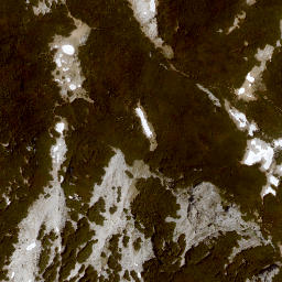 Satellite imagery of Eiblgupf, AT