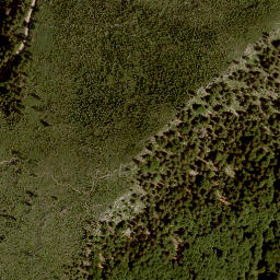 Satellite imagery of Erlakogel, AT