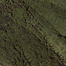 Satellite imagery of Sendeturm Gaisberg, AT