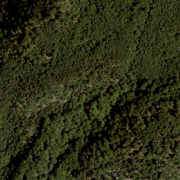 Satellite imagery of Spitzlstein, AT