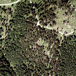 Satellite imagery of Buchalm Spitze, AT