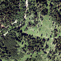 Satellite imagery of Zwiesel Berg, AT