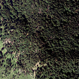 Satellite imagery of Zwiesel Berg, AT