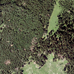 Satellite imagery of Gemeindealpe, AT