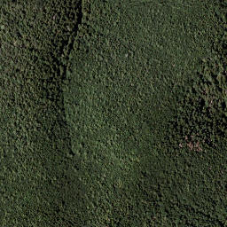 Satellite imagery of Dreispitz, AT