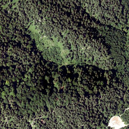 Satellite imagery of Hofalpe, AT