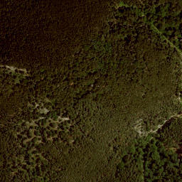 Satellite imagery of survey_point, AT