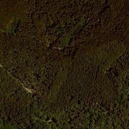 Satellite imagery of survey_point, AT