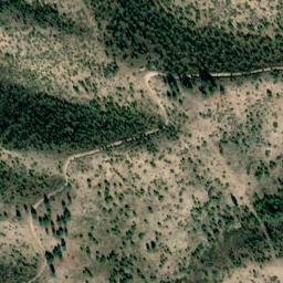 Satellite imagery of McKenzie Ridge, US