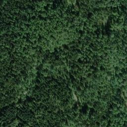 Satellite imagery of Oberer Tannenwald, DE