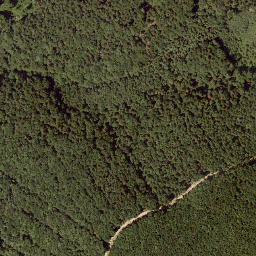 Satellite imagery of Lidaunberg, AT