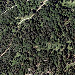 Satellite imagery of Zwiesel Berg, AT