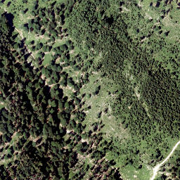 Satellite imagery of Zwiesel Berg, AT