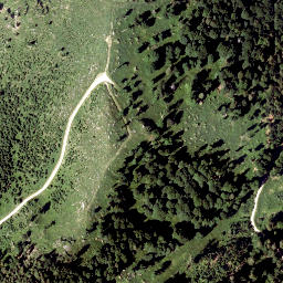 Satellite imagery of Zwiesel Berg, AT