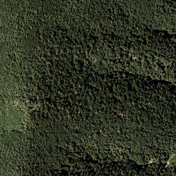Satellite imagery of Dreispitz, AT