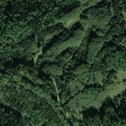 Satellite imagery of Oberer Tannenwald, DE