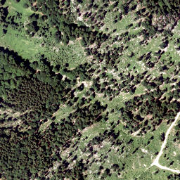 Satellite imagery of Zwiesel Berg, AT