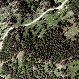 Satellite imagery of Zwiesel Berg, AT