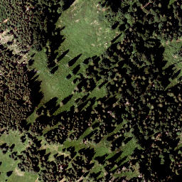 Satellite imagery of Zwiesel Berg, AT