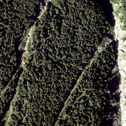 Satellite imagery of Hofalpe, AT