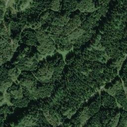 Satellite imagery of Oberer Tannenwald, DE