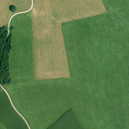 Satellite imagery of Illerfähre 1888-1952, CH