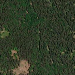Satellite imagery of Kuhkopf, DE