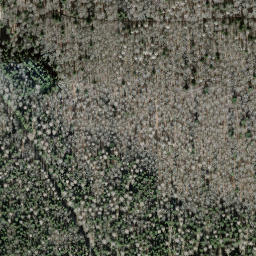 Satellite imagery of Hoher Randen, DE