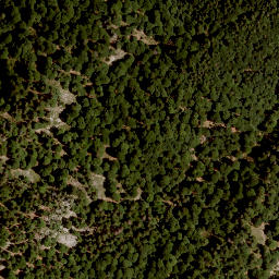 Satellite imagery of Steinberg, AT