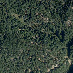 Satellite imagery of Alpstein, AT