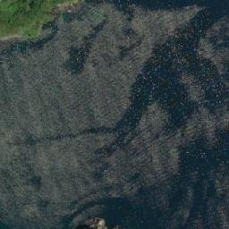 Satellite imagery of Lookout, CA