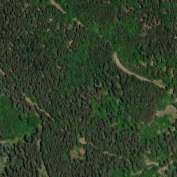 Satellite imagery of Kuhkopf, DE
