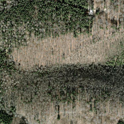 Satellite imagery of Hoher Randen (Südliche Höhe), CH