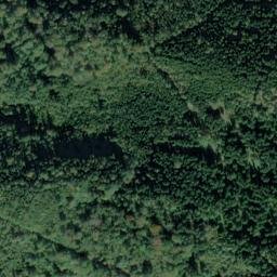 Satellite imagery of Mühlalpkopf, DE