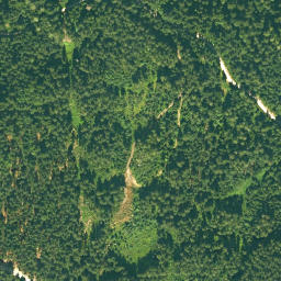 Satellite imagery of Frauenwald, DE