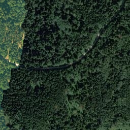 Satellite imagery of Frauenwald, DE