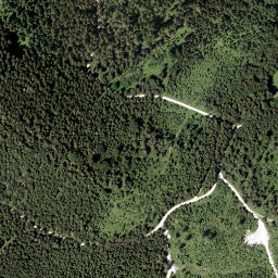 Satellite imagery of Rasing Berg, AT
