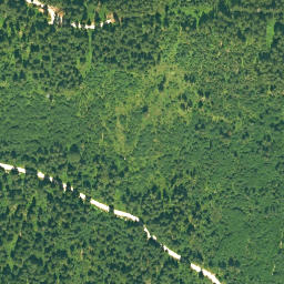 Satellite imagery of Frauenwald, DE