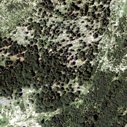 Satellite imagery of Dürrenstein, AT