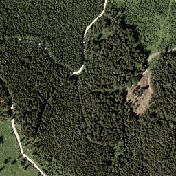 Satellite imagery of Rasing Berg, AT