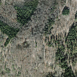 Satellite imagery of Hagenturm, CH