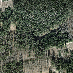 Satellite imagery of Hagenturm, CH