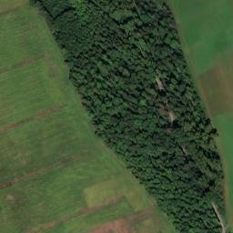 Satellite imagery of Schloß Salem, DE