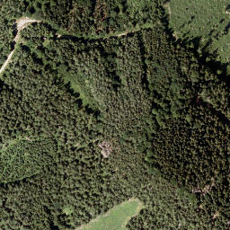 Satellite imagery of Rasing Berg, AT