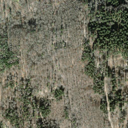 Satellite imagery of Hagenturm, CH